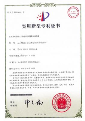 Patent for utility models